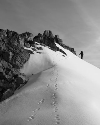 Photo en noir et blanc : Paysage de neige, rochers, deux traces d'animaux, un alpiniste