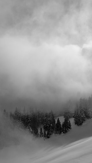 Photo en noir et blanc : Paysage de neige, sapins, nuages